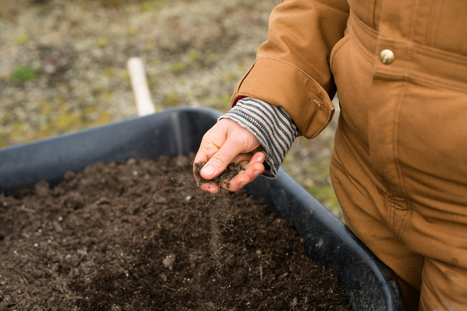 Woman holding soil in wheel barrow